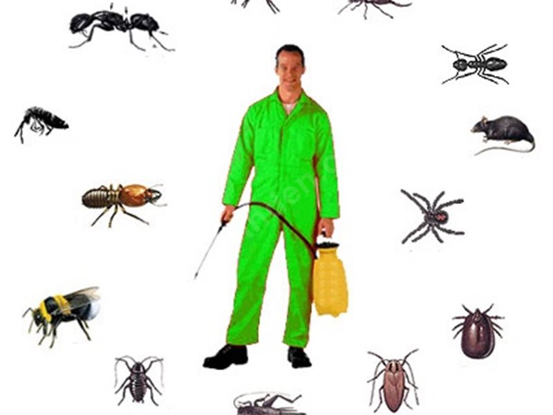 Mazıdağı Böcek İlaçlama