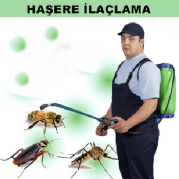 Mazıdağı Böcek İlaçlama